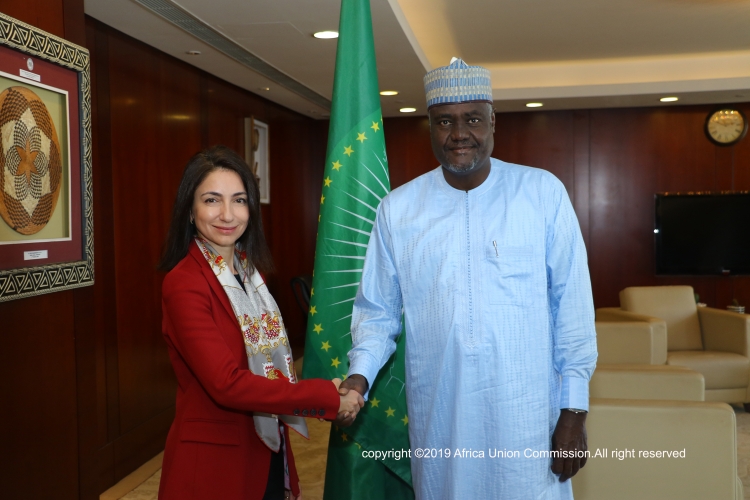 Büyükelçi Yaprak Alp Afrika Birliği Komisyonu Başkanı'yla görüştü
