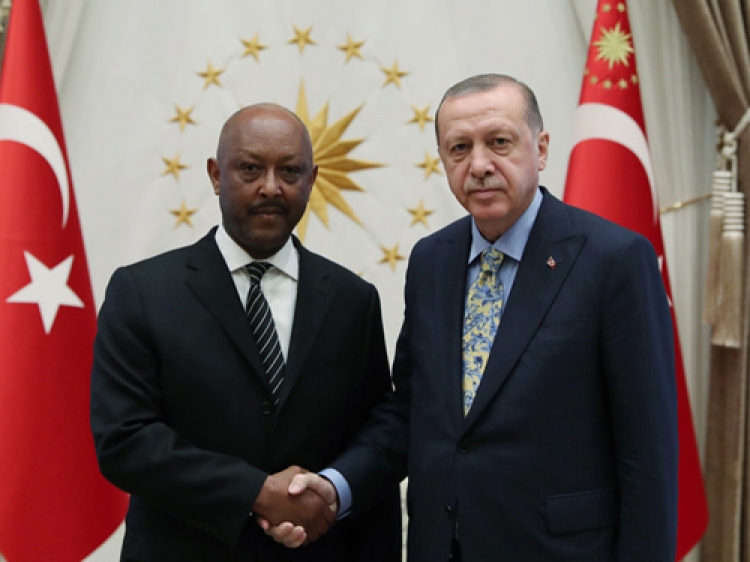 Etiyopya Büyükelçisi Barkessa Erdoğan'a güven mektubu sundu