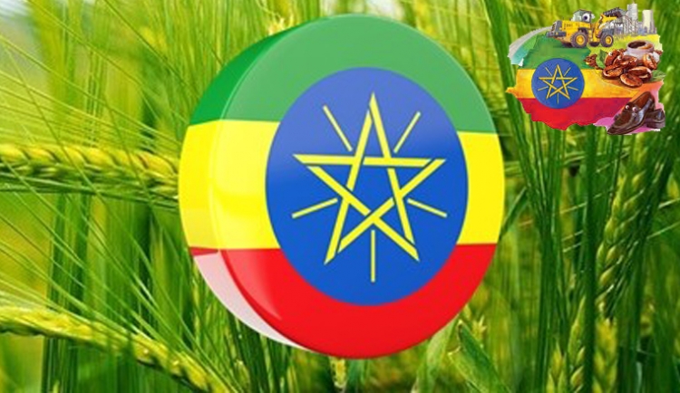 Ticaret Bakanlığı'ndan Etiyopya çağrısı