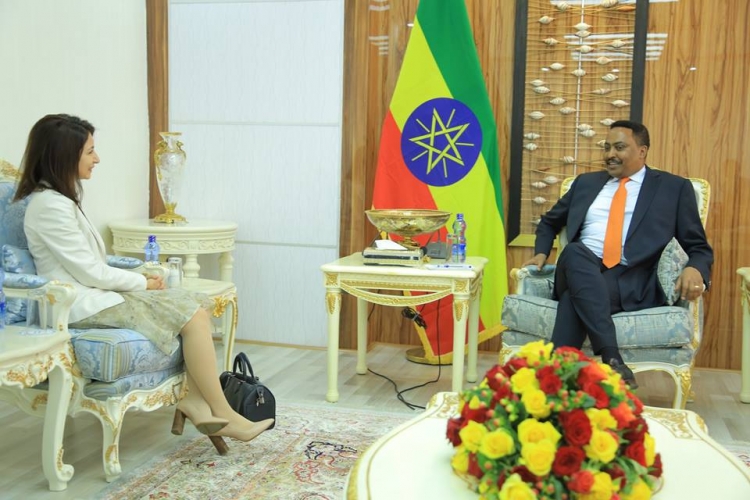 Yaprak Alp Etiyopya Dış İşleri Bakanı ile görüştü