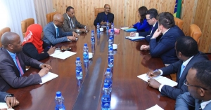 Büyükelçi Alp Etiyopya Devlet Dr. Aklilu ile görüştü